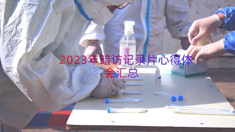 2023年暗访记录片心得体会（汇总14篇）