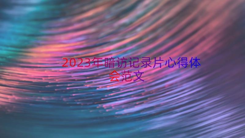 2023年暗访记录片心得体会范文（17篇）