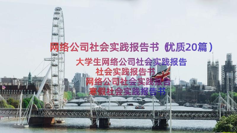 网络公司社会实践报告书（优质20篇）