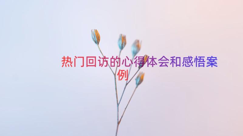 热门回访的心得体会和感悟（案例18篇）