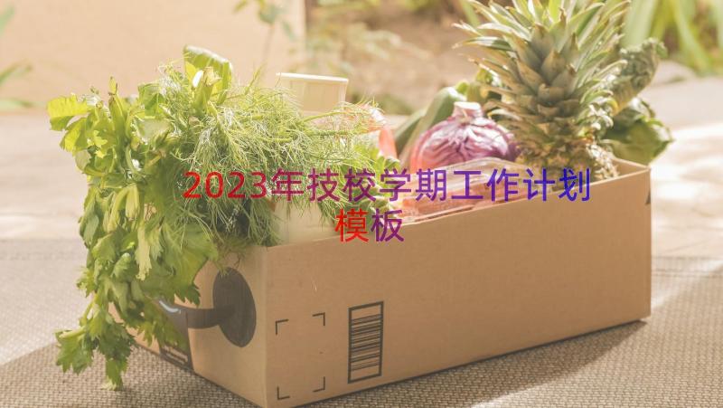 2023年技校学期工作计划（模板13篇）