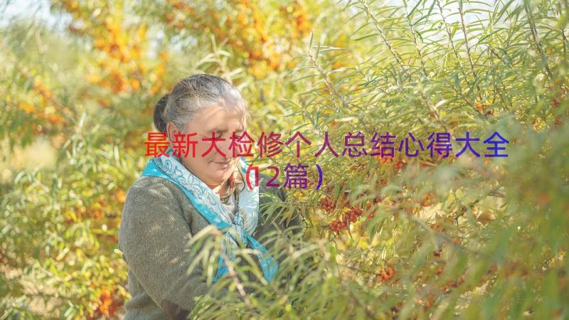 最新大检修个人总结心得大全（12篇）