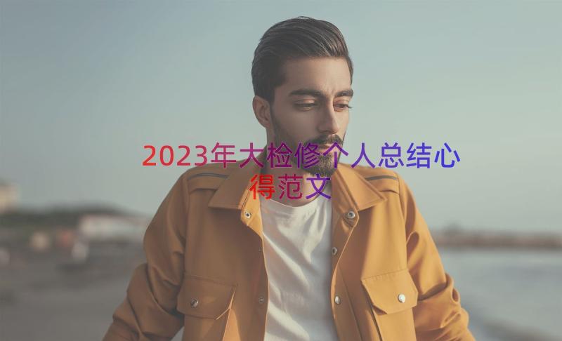 2023年大检修个人总结心得范文（14篇）