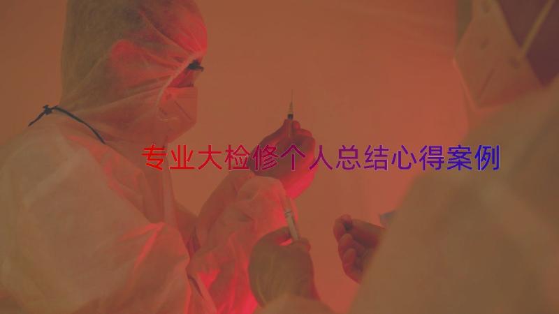 专业大检修个人总结心得（案例12篇）