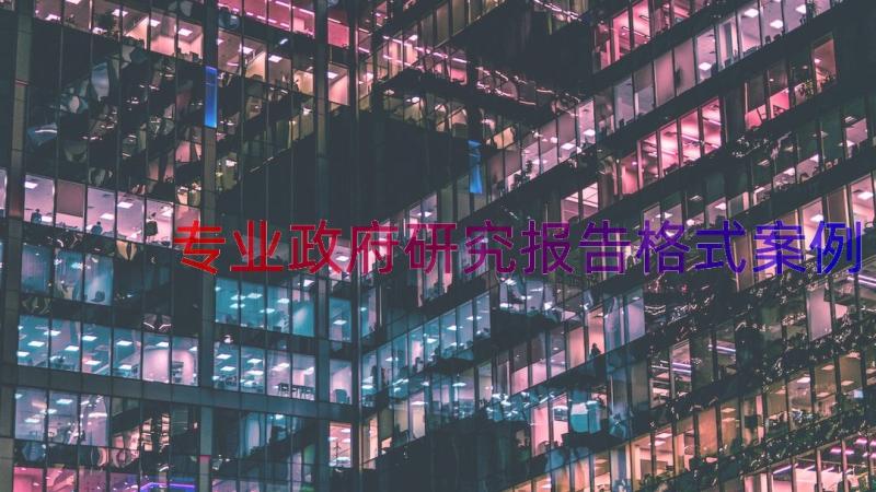 专业政府研究报告格式（案例12篇）