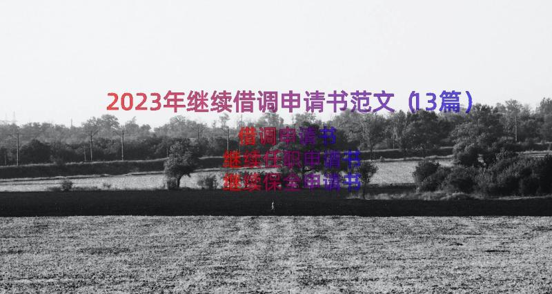 2023年继续借调申请书范文（13篇）