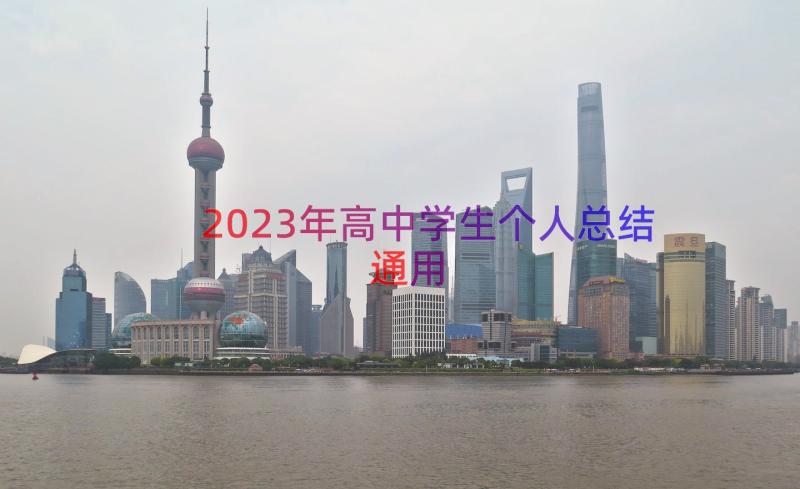 2023年高中学生个人总结（通用13篇）