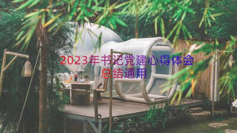 2023年书记党建心得体会总结（通用14篇）