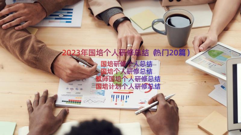 2023年国培个人研修总结（热门20篇）