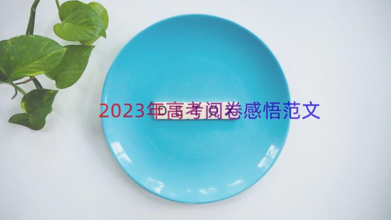 2023年高考阅卷感悟范文（17篇）