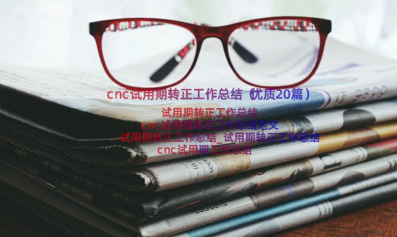 cnc试用期转正工作总结（优质20篇）