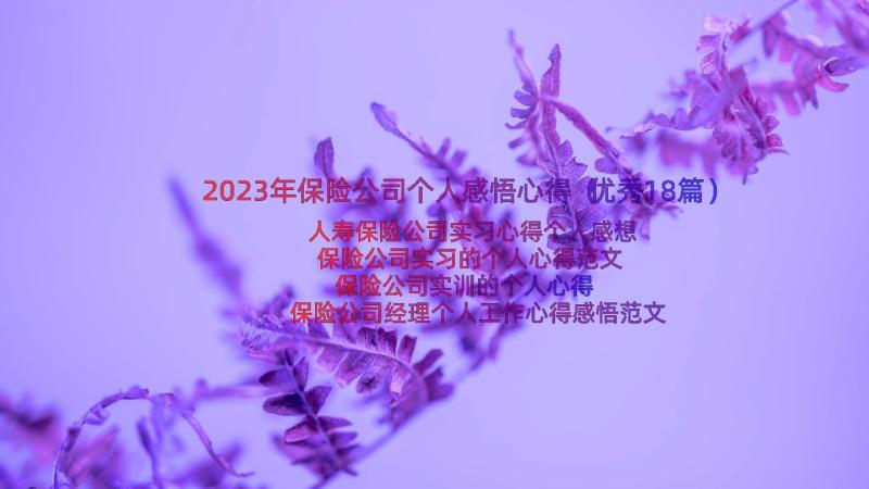 2023年保险公司个人感悟心得（优秀18篇）