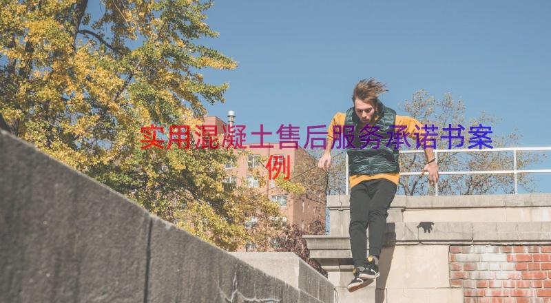 实用混凝土售后服务承诺书（案例18篇）