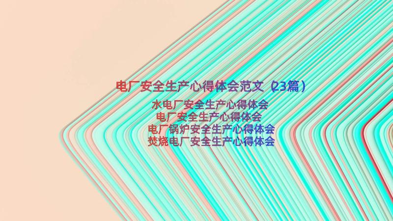 电厂安全生产心得体会范文（23篇）