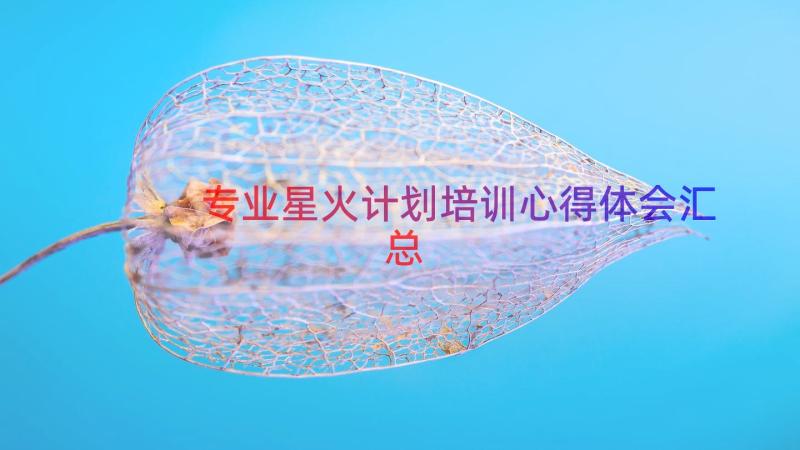 专业星火计划培训心得体会（汇总14篇）