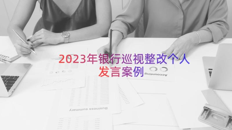 2023年银行巡视整改个人发言（案例17篇）