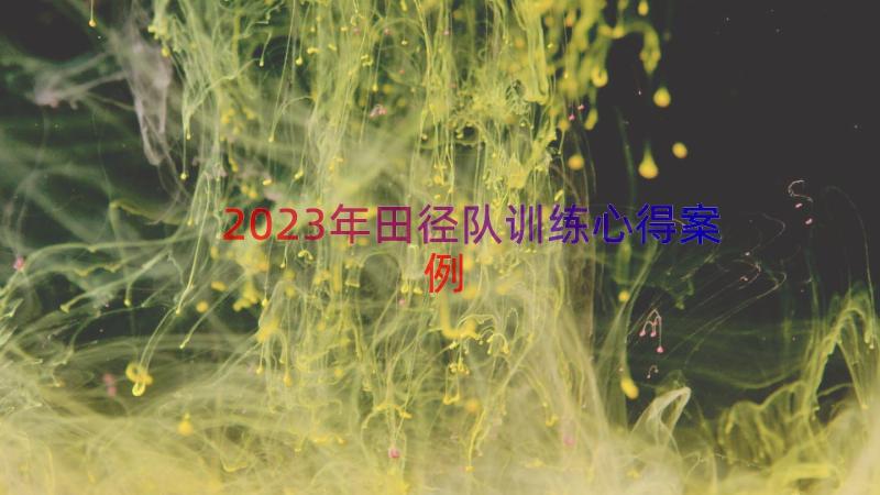 2023年田径队训练心得（案例17篇）