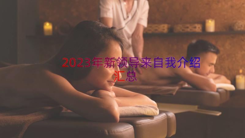 2023年新领导来自我介绍（汇总18篇）