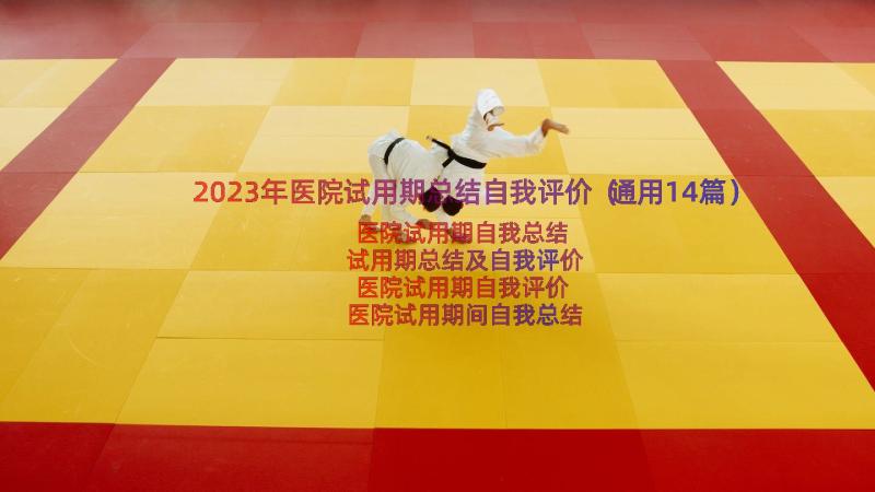 2023年医院试用期总结自我评价（通用14篇）