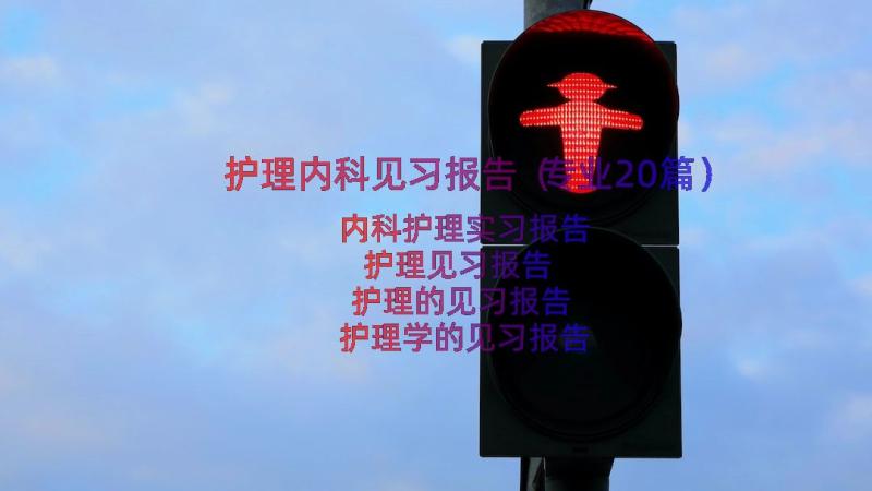 护理内科见习报告（专业20篇）