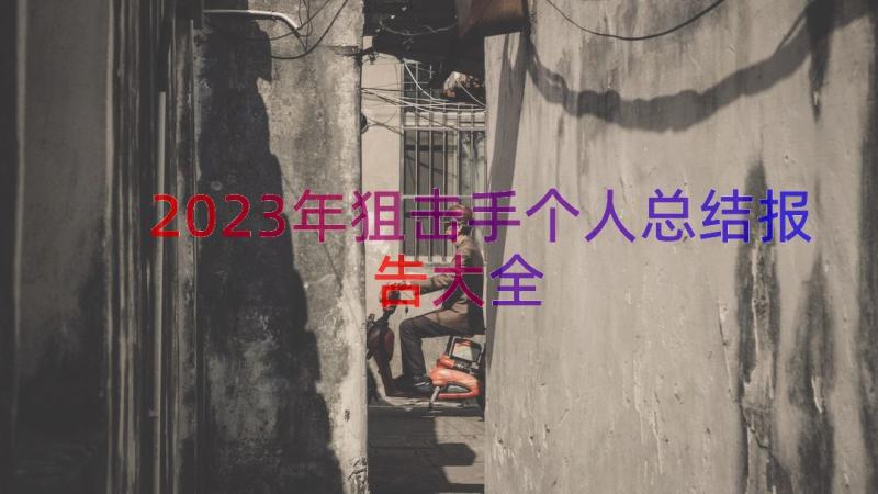 2023年狙击手个人总结报告大全（17篇）