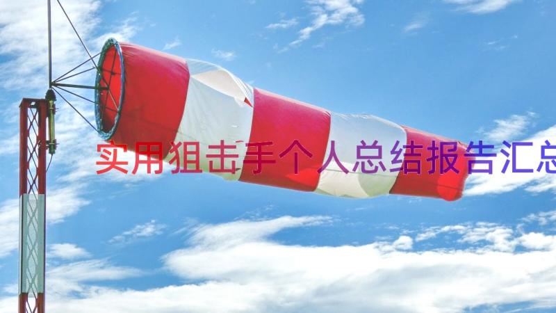 实用狙击手个人总结报告（汇总18篇）