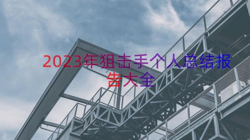 2023年狙击手个人总结报告大全（17篇）