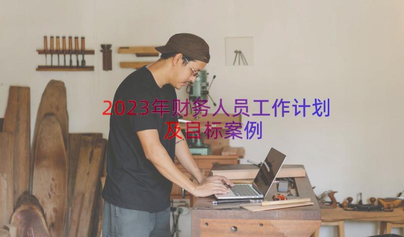 2023年财务人员工作计划及目标（案例15篇）