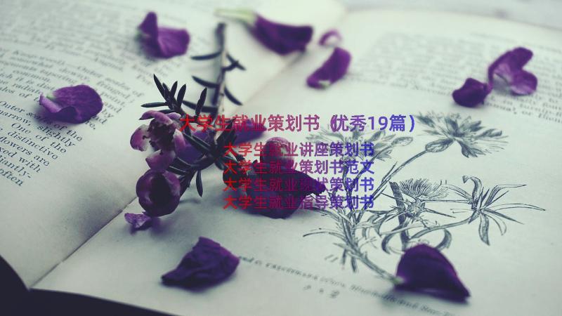 大学生就业策划书（优秀19篇）