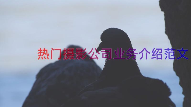 热门摄影公司业务介绍范文（14篇）