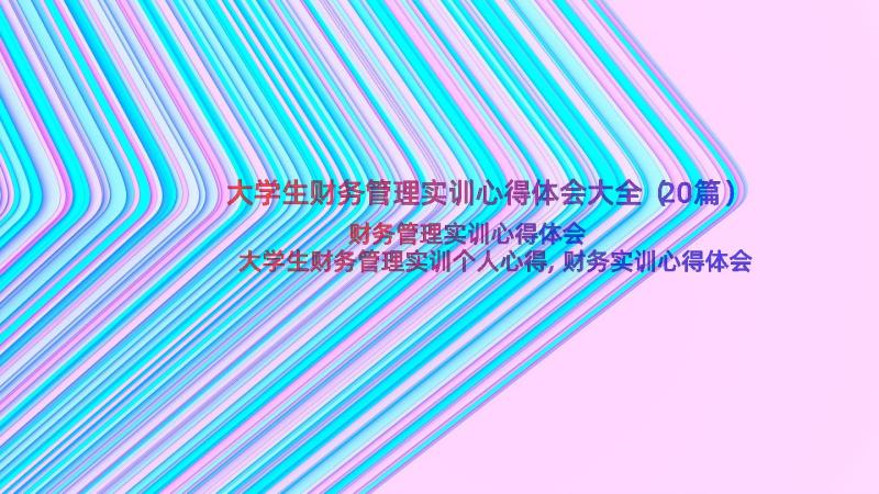 大学生财务管理实训心得体会大全（20篇）