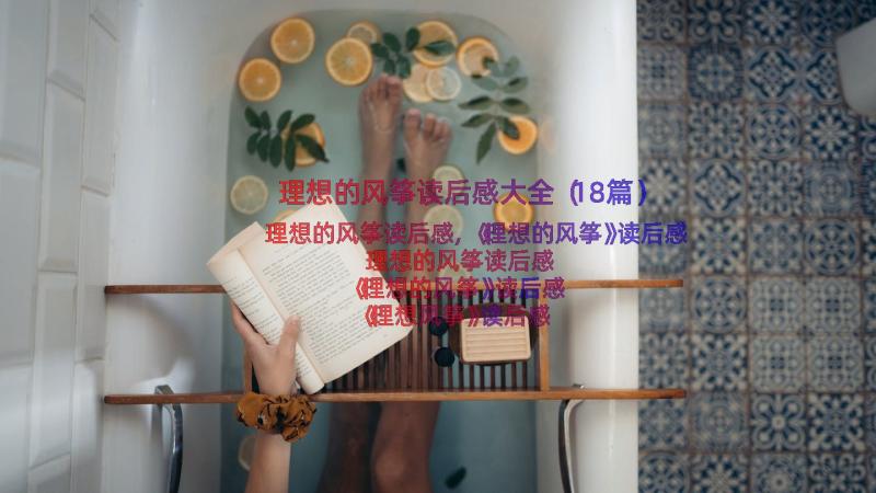 理想的风筝读后感大全（18篇）