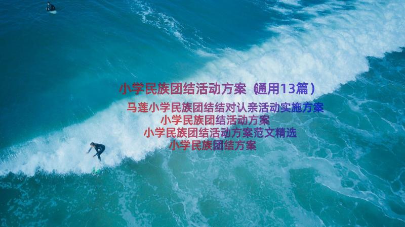 小学民族团结活动方案（通用13篇）