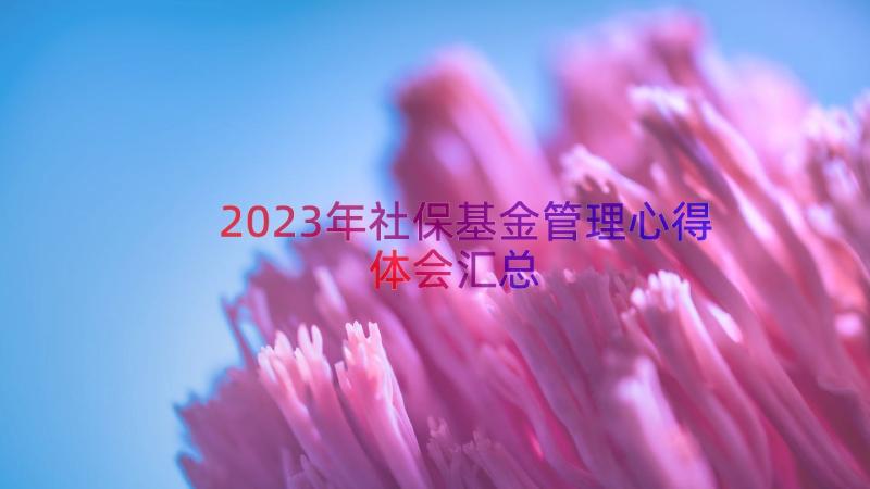 2023年社保基金管理心得体会（汇总15篇）