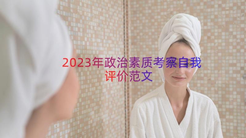 2023年政治素质考察自我评价范文（15篇）