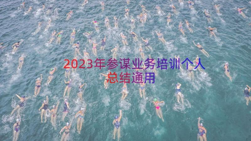 2023年参谋业务培训个人总结（通用15篇）