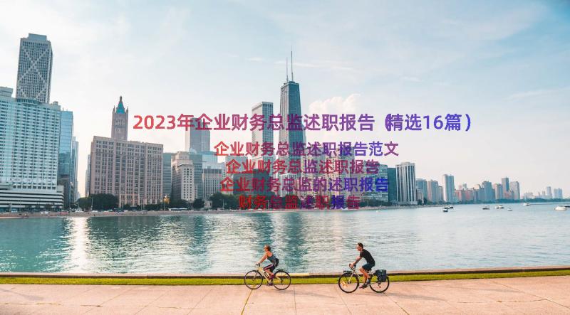 2023年企业财务总监述职报告（精选16篇）