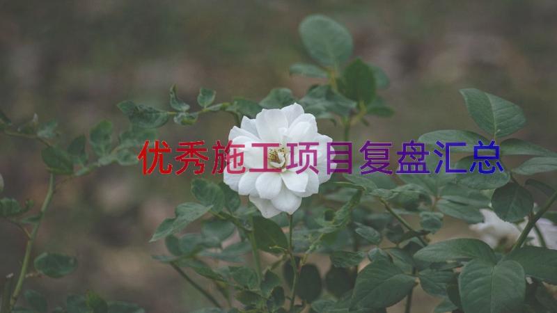 优秀施工项目复盘（汇总14篇）