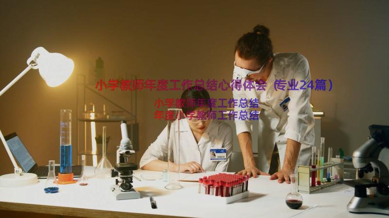 小学教师年度工作总结心得体会（专业24篇）