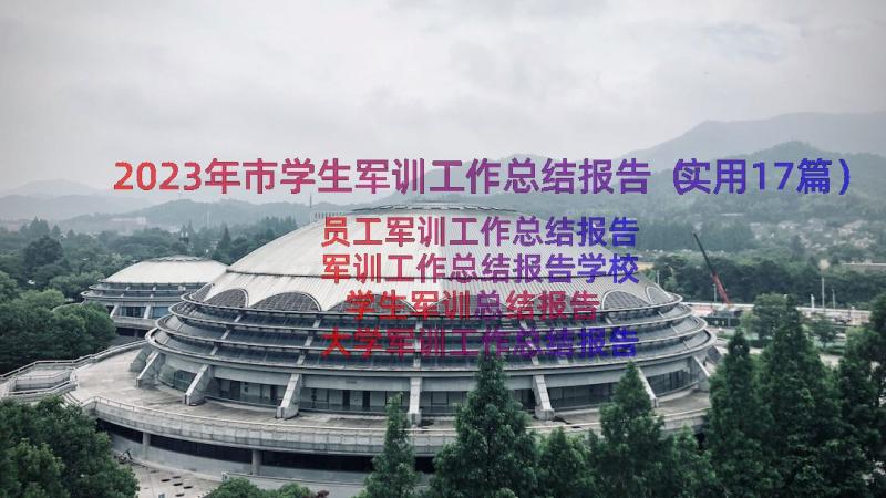 2023年市学生军训工作总结报告（实用17篇）