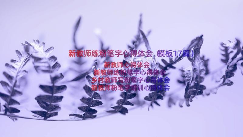 新教师练粉笔字心得体会（模板17篇）