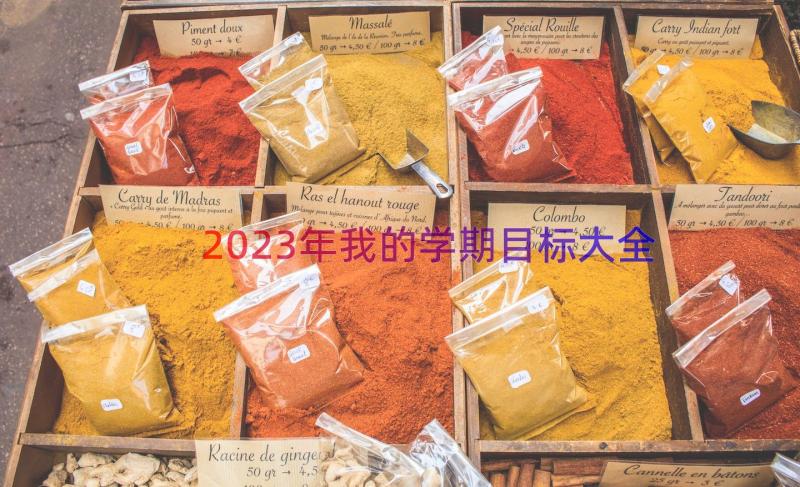 2023年我的学期目标大全（15篇）