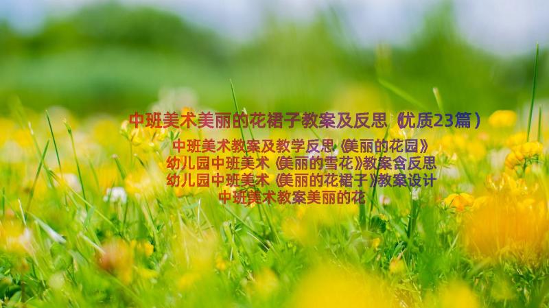 中班美术美丽的花裙子教案及反思（优质23篇）