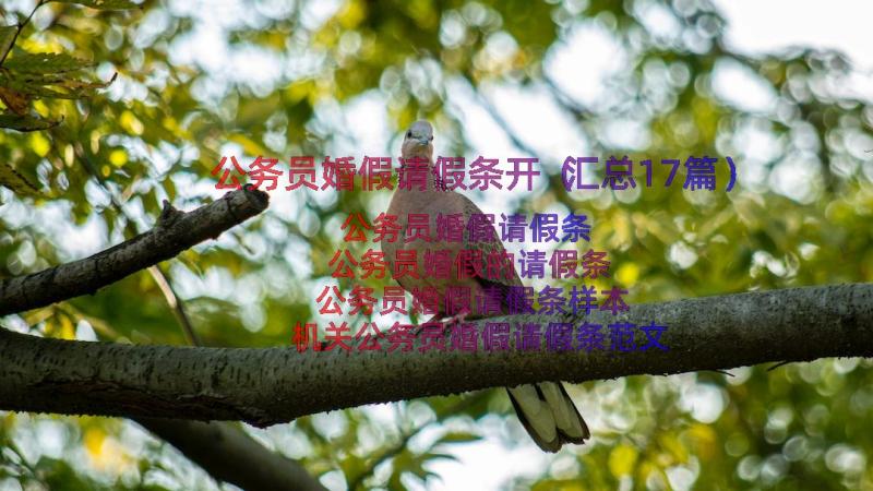 公务员婚假请假条开（汇总17篇）