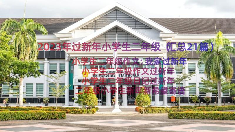 2023年过新年小学生二年级（汇总21篇）