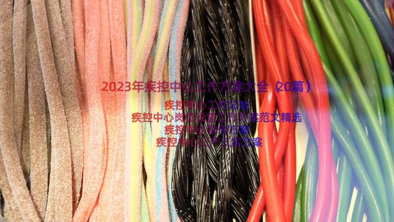 2023年疾控中心工作方案大全（20篇）