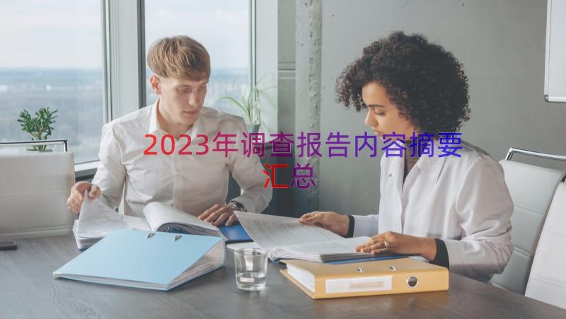 2023年调查报告内容摘要（汇总18篇）