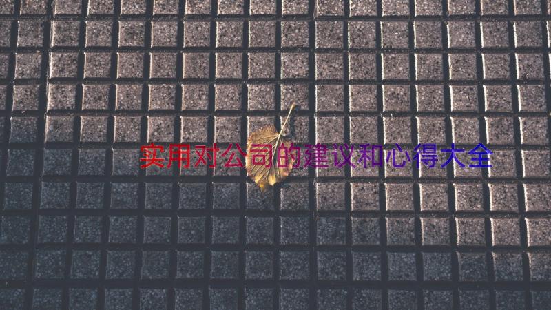 实用对公司的建议和心得大全（18篇）