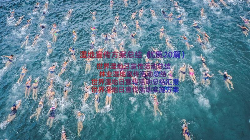 湿地宣传方案总结（优质20篇）