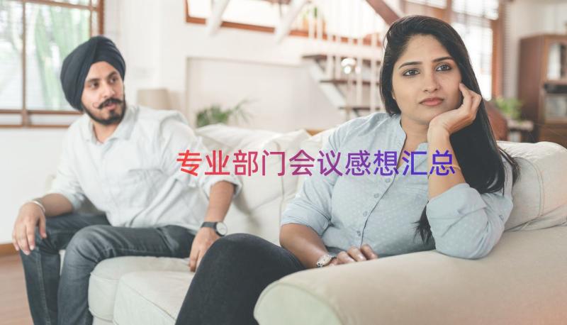 专业部门会议感想（汇总13篇）